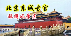 美女用假屌插骚逼视频中国北京-东城古宫旅游风景区